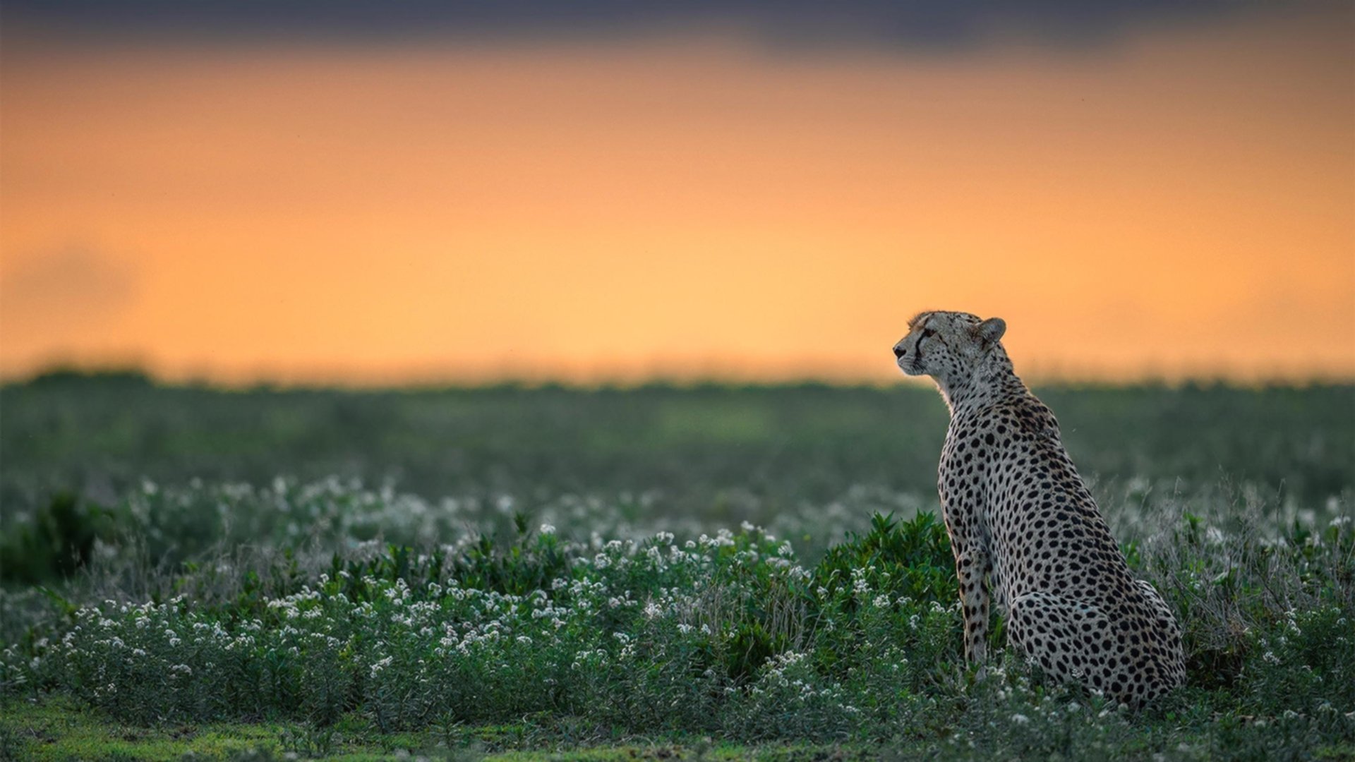 女篮青年队引进跨领域专家加强身体恢复指导,国家青年女子篮球队
