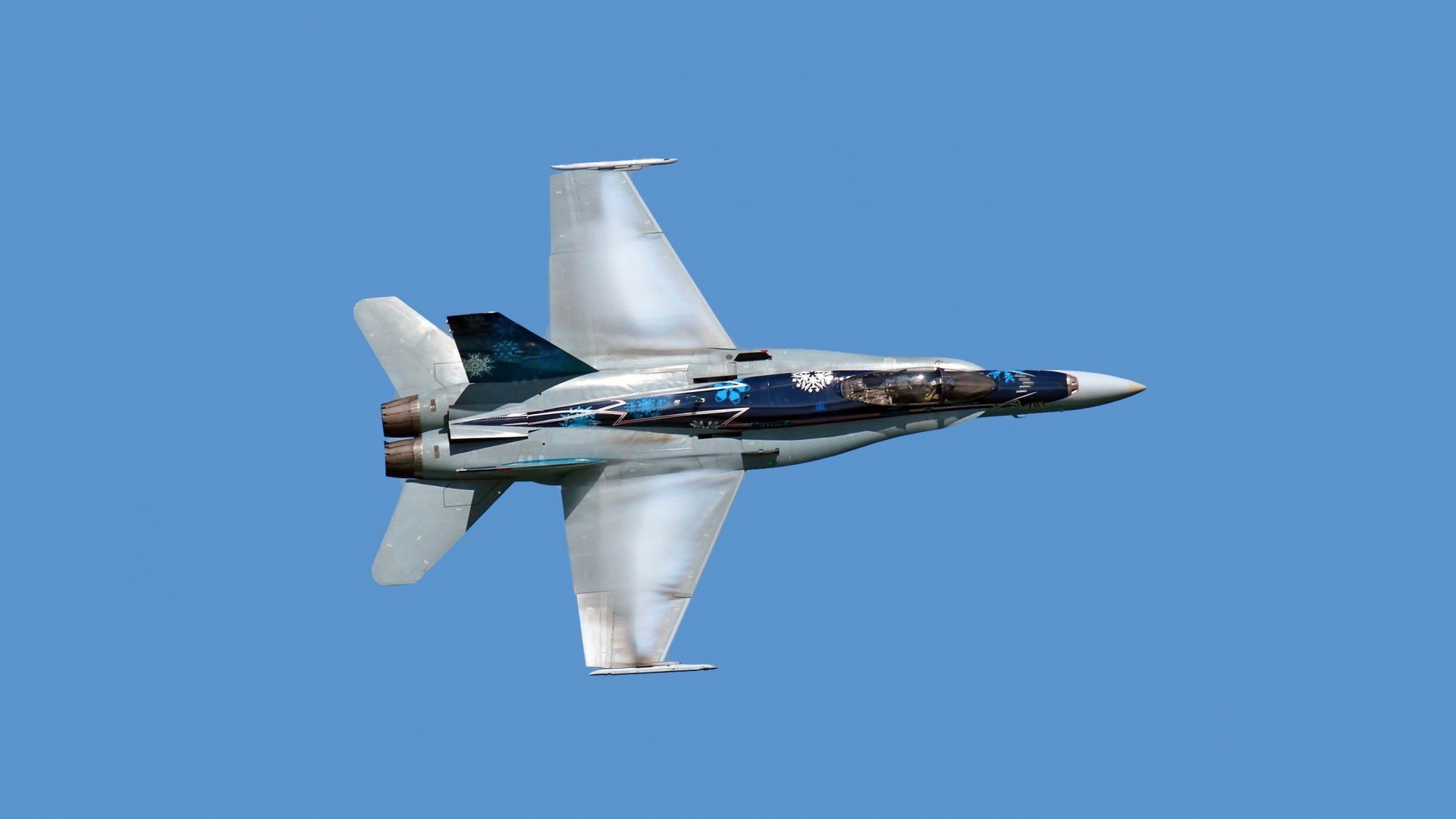 新西兰全黑队的快速进攻与灵活反击形成威胁,新西兰全黑队队员介绍