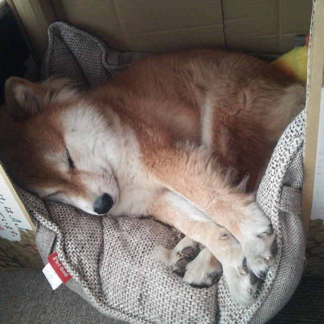 新闻中心公告体育发展重点县区名录及发展建议书,体育产业区域发展现状