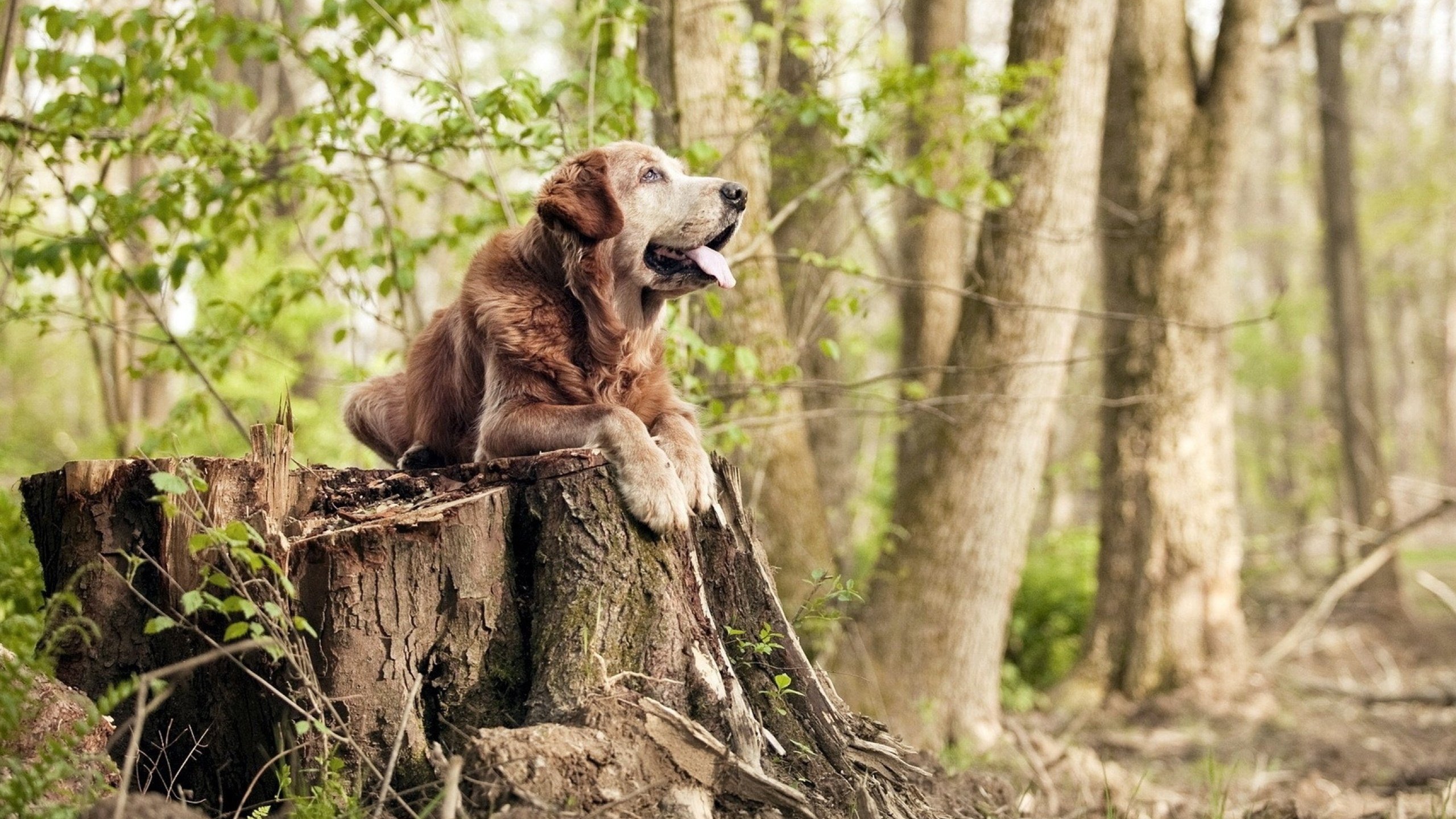 新闻中心公告体育发展重点县区名录及发展建议书,体育产业区域发展现状